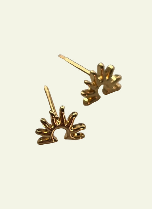 SUNSET STUDS