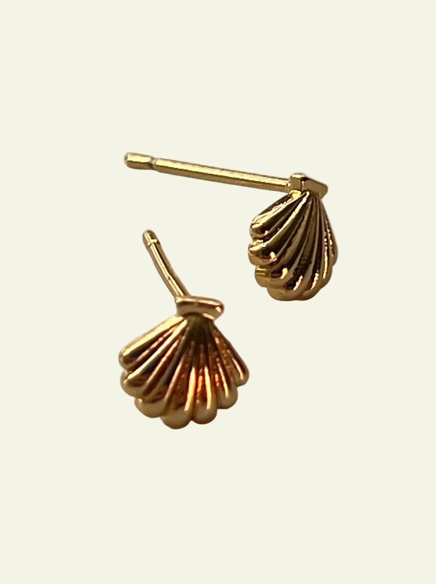 SHELL STUDS