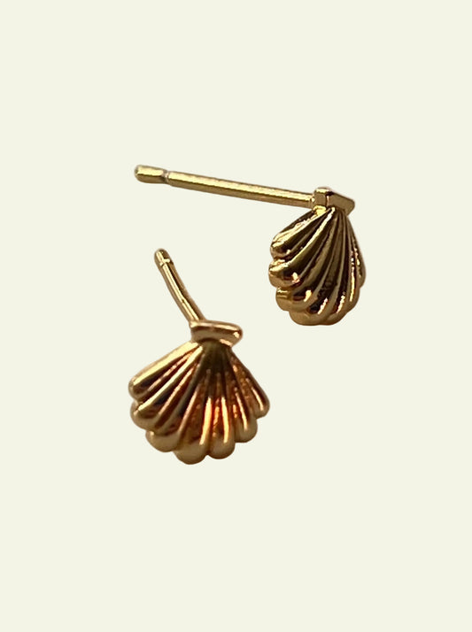 SHELL STUDS