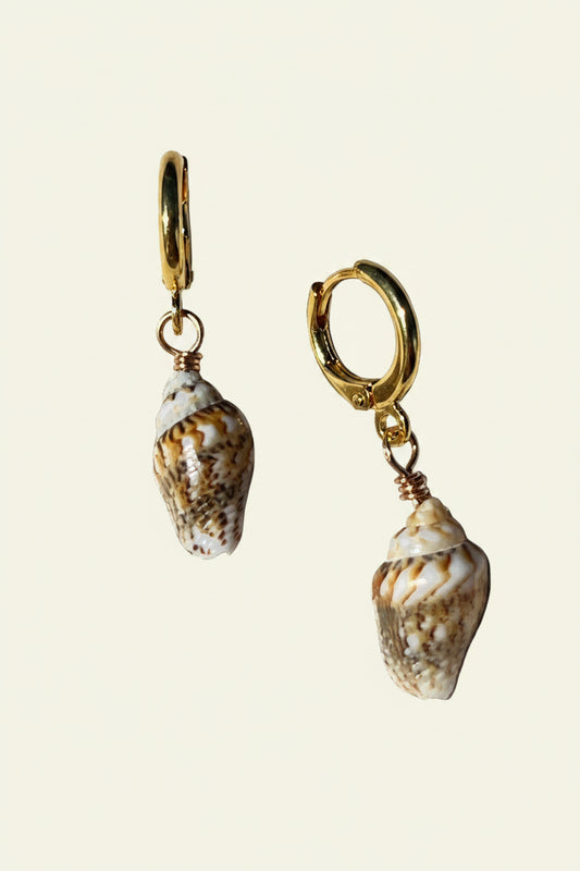 SHELL DANGLES